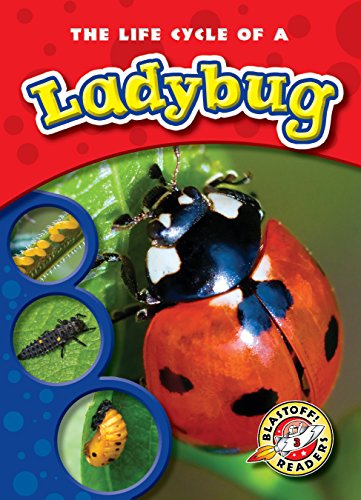 Life Cycle Of A Ladybug, The (blastoff! Readers: Life Cycles) [Paperback]