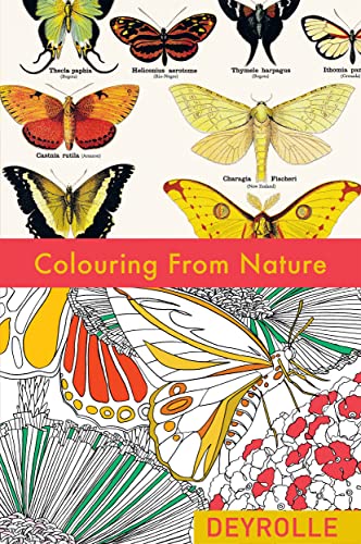 Colouring from Nature [Paperback]