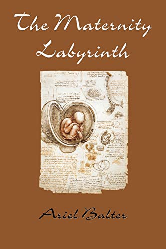 The Maternity Labyrinth [Paperback]