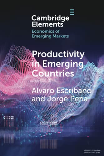 Productivity in Emerging Countries Methodology and Firm-Level Analysis based on [Paperback]