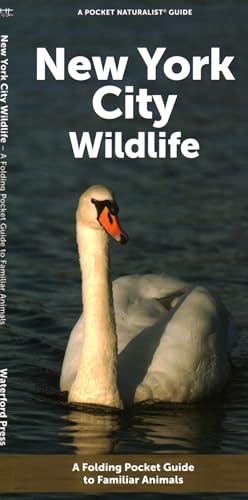 New York City Wildlife: A Folding Pocket Guide to Familiar Animals [Pamphlet]