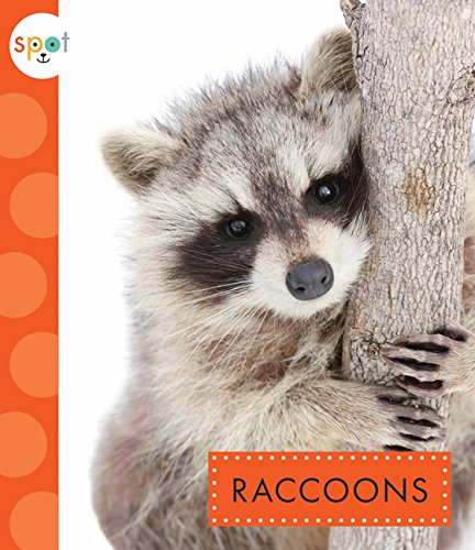 Raccoons [Paperback]