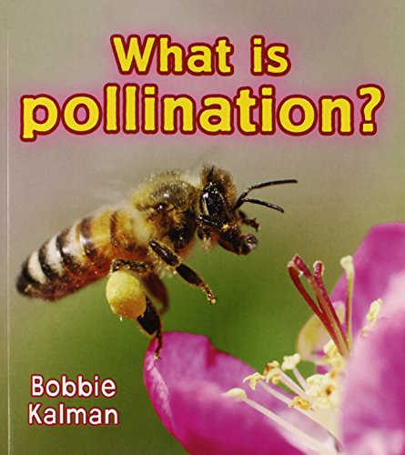 What Is Pollination? (big Science Ideas) [Pap