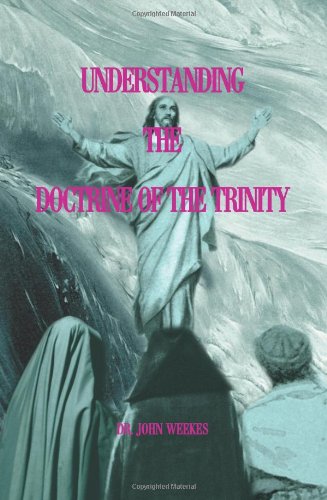 Understanding The Doctrine Of The Trinity [Paperback]