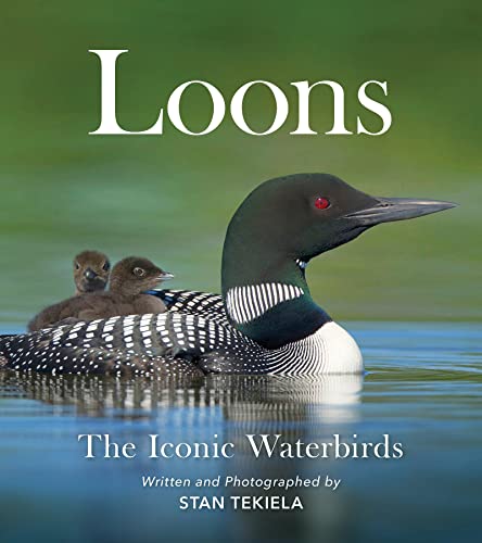 Loons: The Iconic Waterbirds [Paperback]