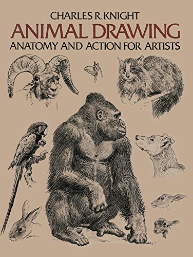 Animal Drawing: Its Origins, Ancient Forms an