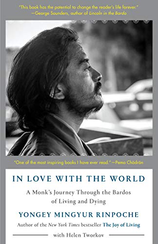 In Love with the World: A Monk's Journey Thro