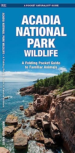 Acadia National Park Wildlife: A Folding Pocket Guide to Familiar Species [Pamphlet]