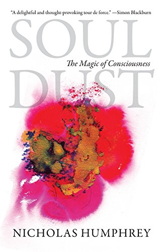 Soul Dust The Magic of Consciousness [Paperback]