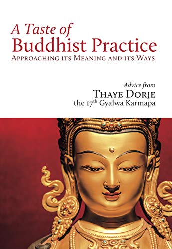 A Taste of Buddhist Practice: Approaching its Meaning and Its Ways [Paperback]