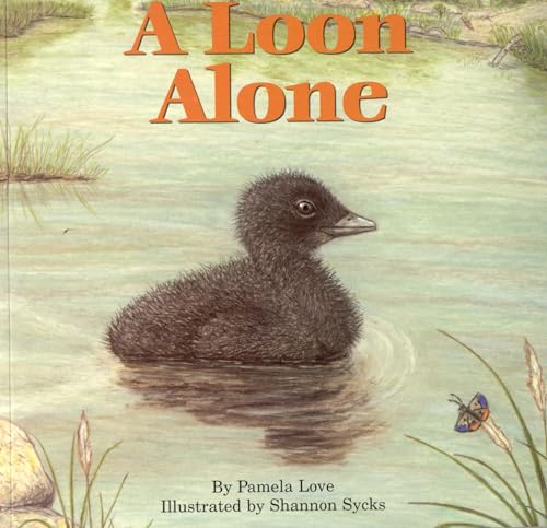 A Loon Alone [Paperback]