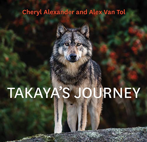 Takaya's Journey [Hardcover]