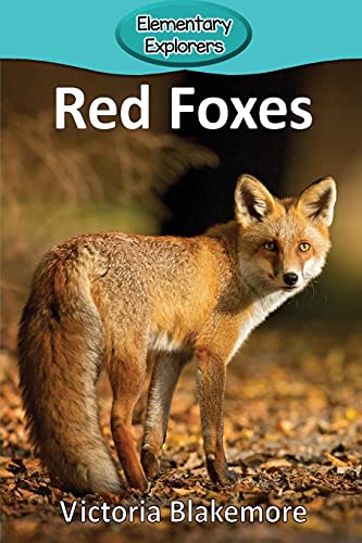 Red Foxes [Paperback]