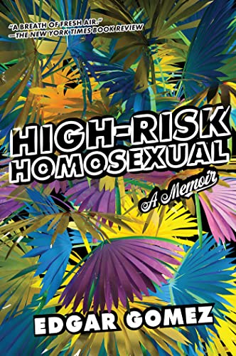 High-Risk Homosexual: A Memoir [Paperback]