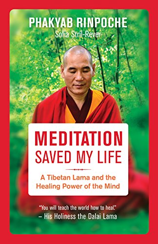 Meditation Saved My Life: A Tibetan Lama and the Healing Power of the Mind [Paperback]