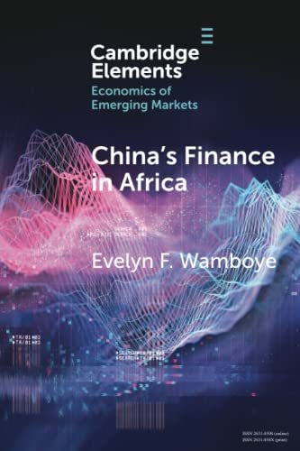 China's Finance in Africa What and Ho Much [Paperback]