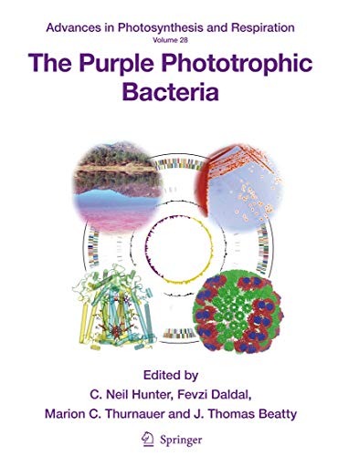 The Purple Phototrophic Bacteria [Paperback]