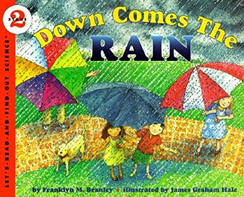 Down Comes the Rain [Paperback]