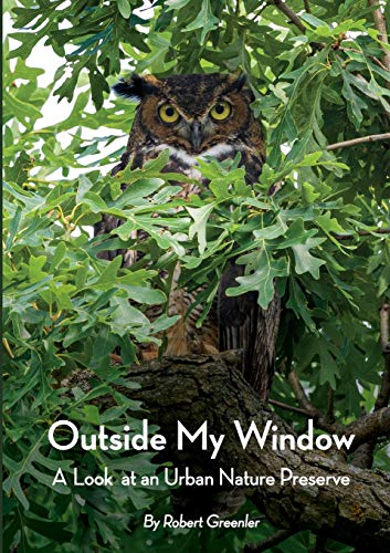 Outside My Windo [Paperback]