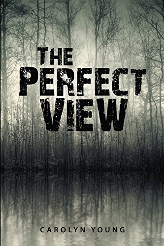 The Perfect Vie [Paperback]