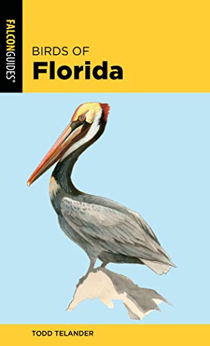 Birds of Florida [Paperback]