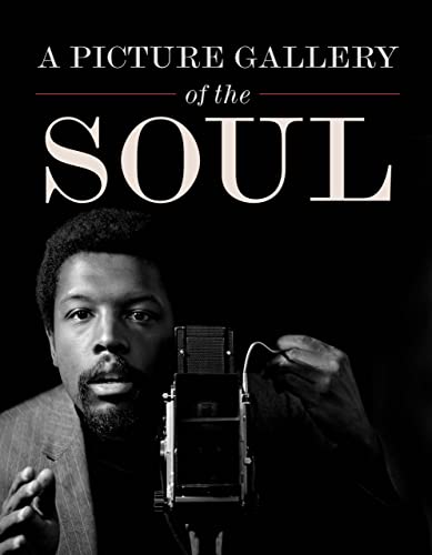 A Picture Gallery of the Soul [Hardcover]