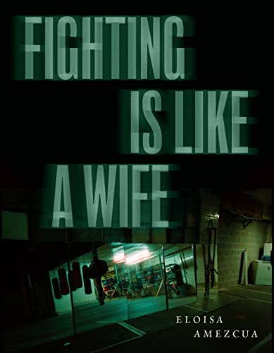 Fighting Is Like a Wife [Paperback]