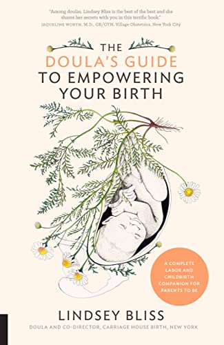 The Doula's Guide to Empowering Your Birth: A Complete Labor and Childbirth  [Paperback]