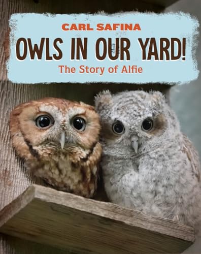 Owls in Our Yard!: The Story of Alfie [Hardcover]