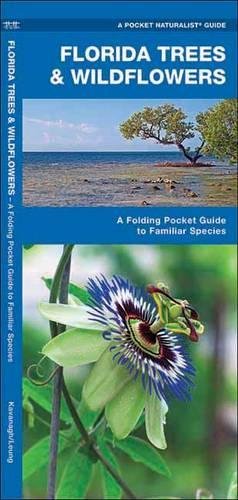 Florida Trees & Wildflowers: A Folding Pocket Guide to Familiar Species [Pamphlet]