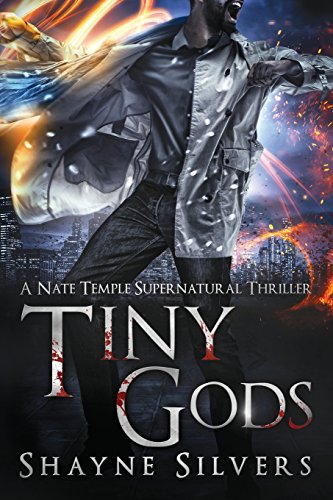 Tiny Gods A Nate Temple Supernatural Thriller Book 6 (temple Chronicles) [Paperback]