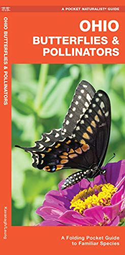 Ohio Butterflies & Pollinators: A Folding Pocket Guide to Familiar Species [Pamphlet]