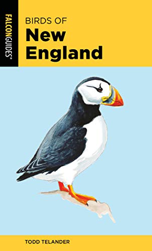 Birds of New England [Paperback]