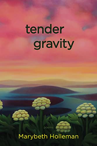 tender gravity [Paperback]