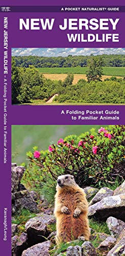 New Jersey Wildlife: A Folding Pocket Guide to Familiar Species [Pamphlet]