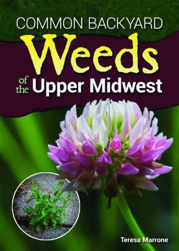 Common Backyard Weeds of the Upper Midwest [Paperback]