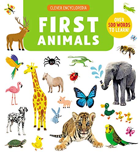 First Animals: Over 500 words to learn! [Hardcover]