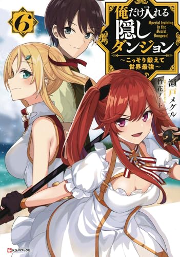 The Hidden Dungeon Only I Can Enter (Light Novel) Vol. 6 [Paperback]