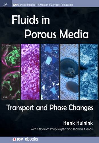 Fluids In Porous Media [Paperback]