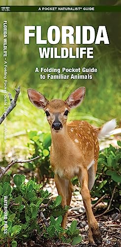 Florida Wildlife: A Folding Guide to Familiar Animals [Pamphlet]