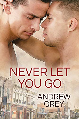 Never Let You Go [Paperback]