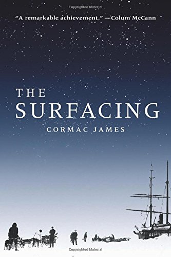 The Surfacing [Paperback]