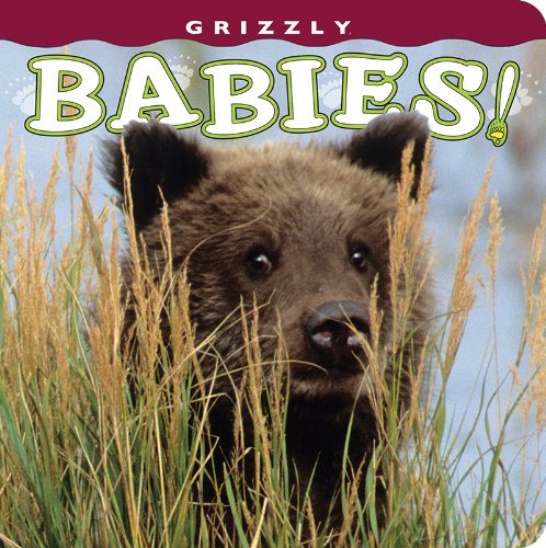 Grizzly Babies! (babies! (farcountry Press)) [Board book]