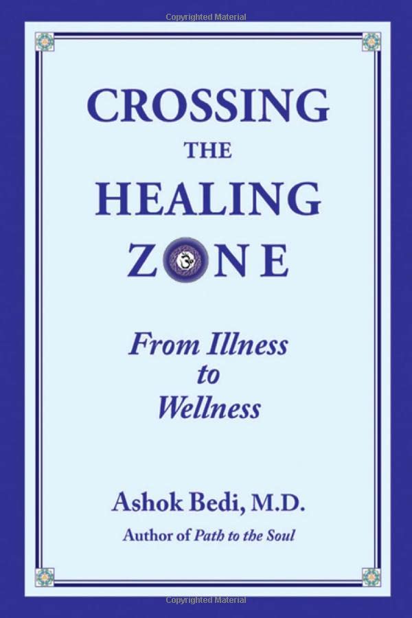 Crossing The Healing Zone: From Illness To Wellness [Paperback]