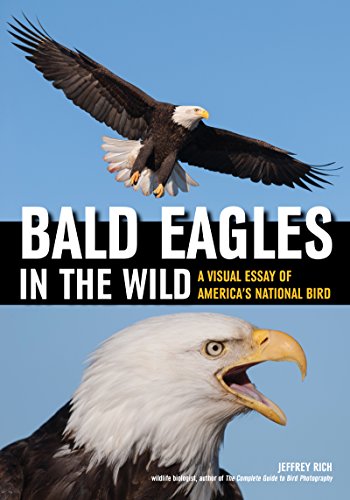 Bald Eagles In The Wild: A Visual Essay of America's National Bird [Paperback]