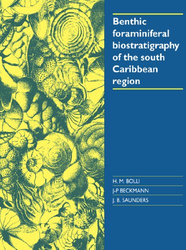 Benthic Foraminiferal Biostratigraphy of the South Caribbean Region [Paperback]