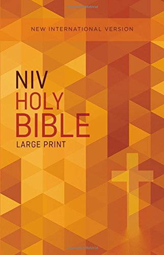 NIV, Outreach Bible, Large Print, Paperback [Paperback]