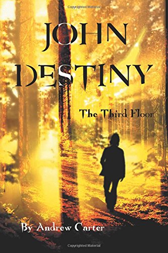 John Destiny The Third Floor [Paperback]