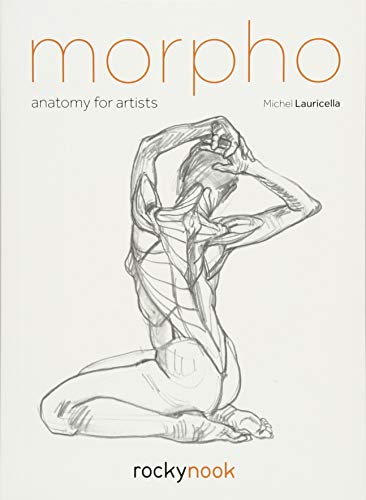 Morpho: Anatomy for Artists [Paperback]