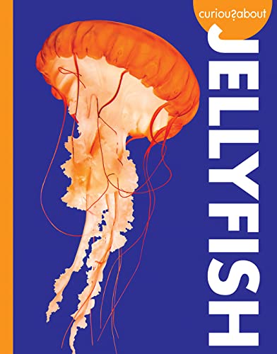 Curious about Jellyfish [Paperback]